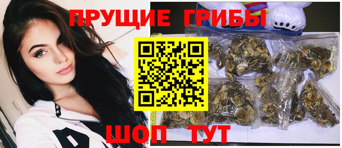 Галлюциногенные грибы прущие грибы Дедовск