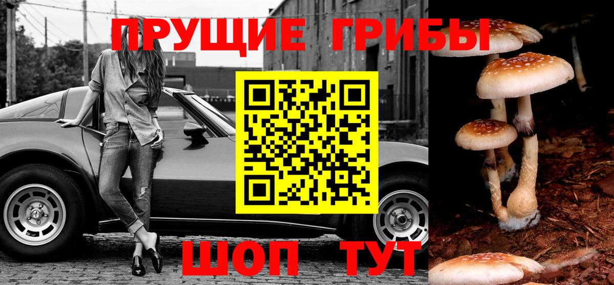 Псилоцибиновые грибы прущие грибы  Вход с VPN  Дедовск 