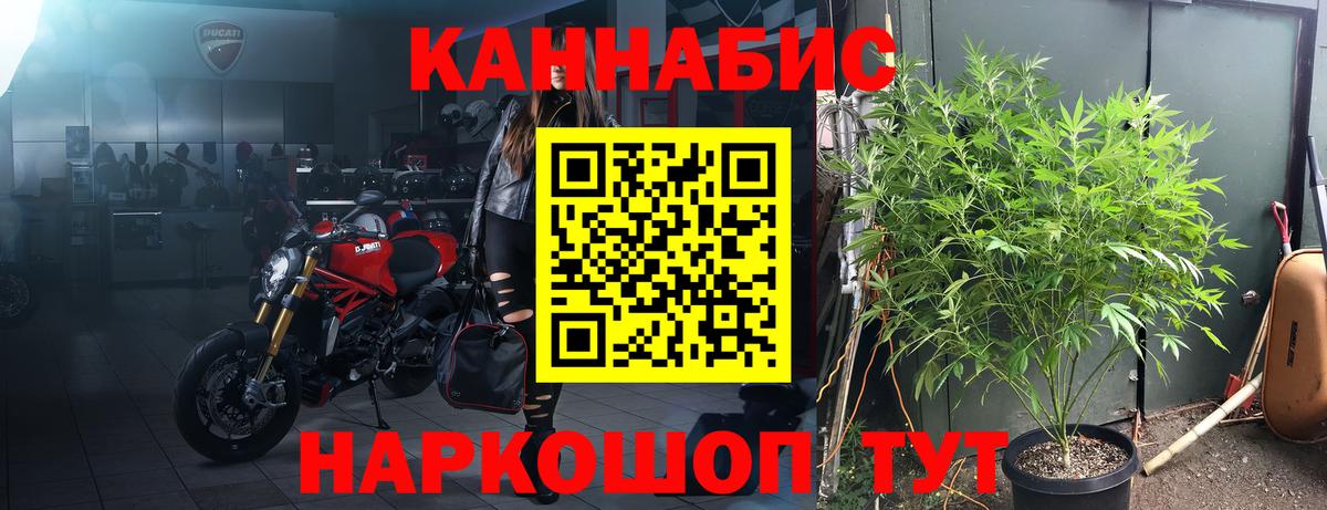 Бошки Шишки ГИДРОПОН  Канабис Ganja  Вход с VPN  Дедовск 